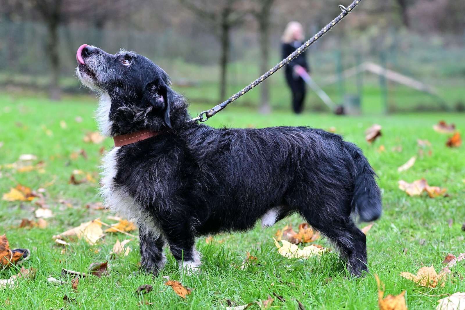 utulek 11 2025male--152